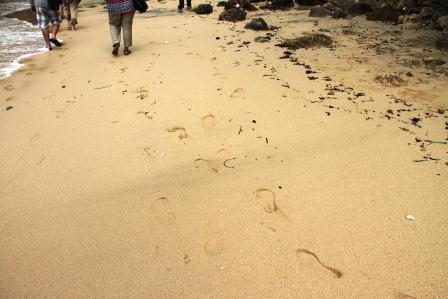 Detail Jejak Kaki Di Pantai Nomer 18