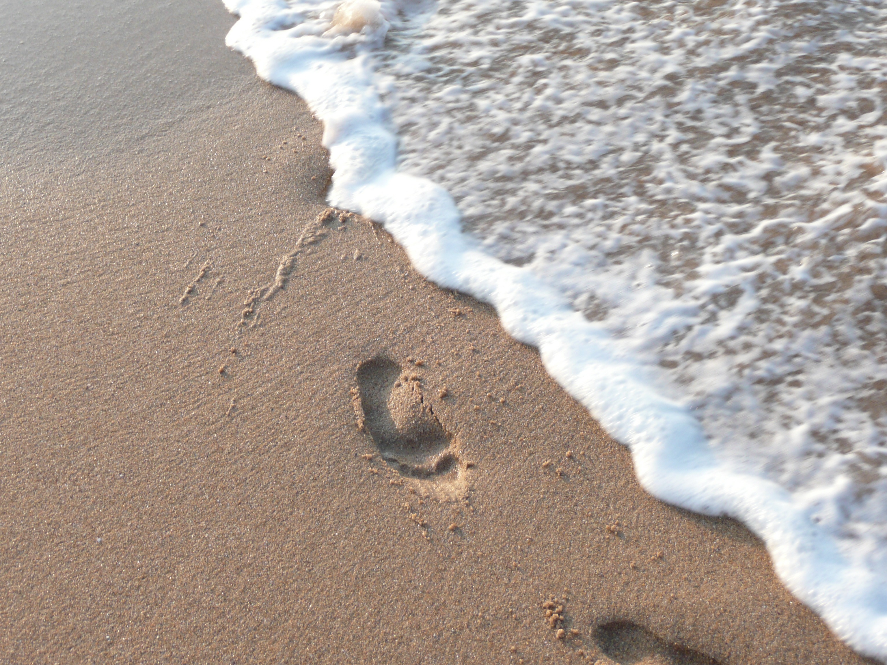 Detail Jejak Kaki Di Pantai Nomer 22