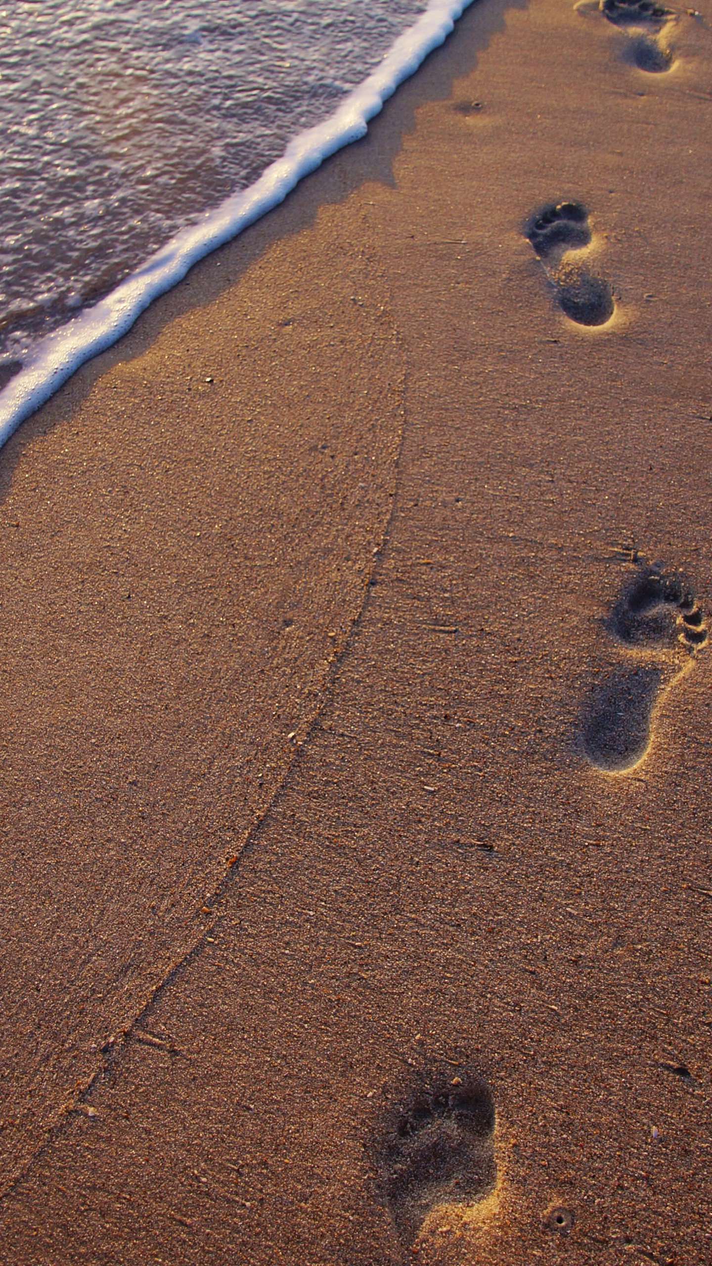 Detail Jejak Kaki Di Pantai Nomer 23