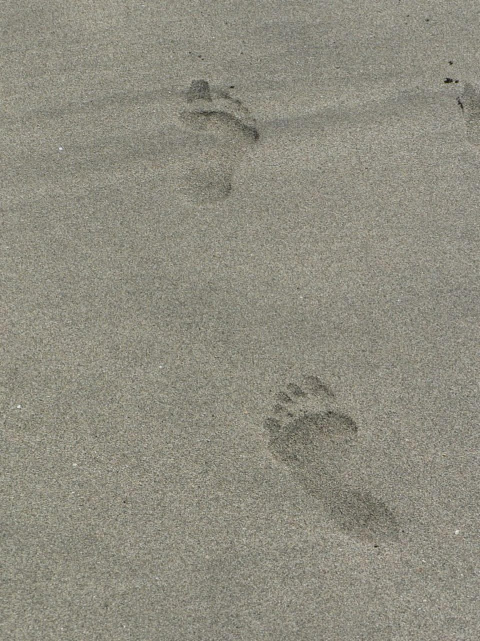 Detail Jejak Kaki Di Pantai Nomer 27