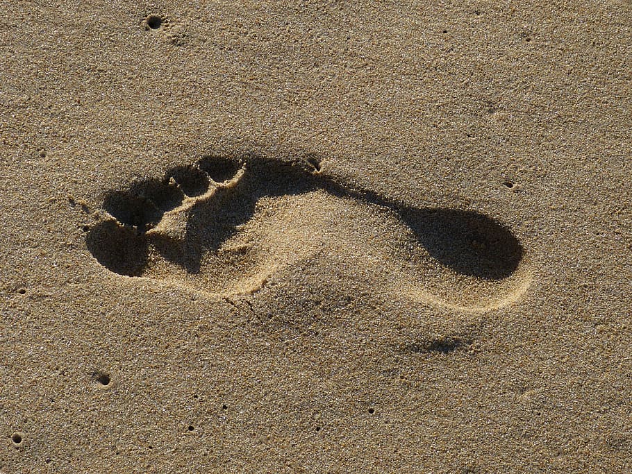 Detail Jejak Kaki Di Pantai Nomer 32