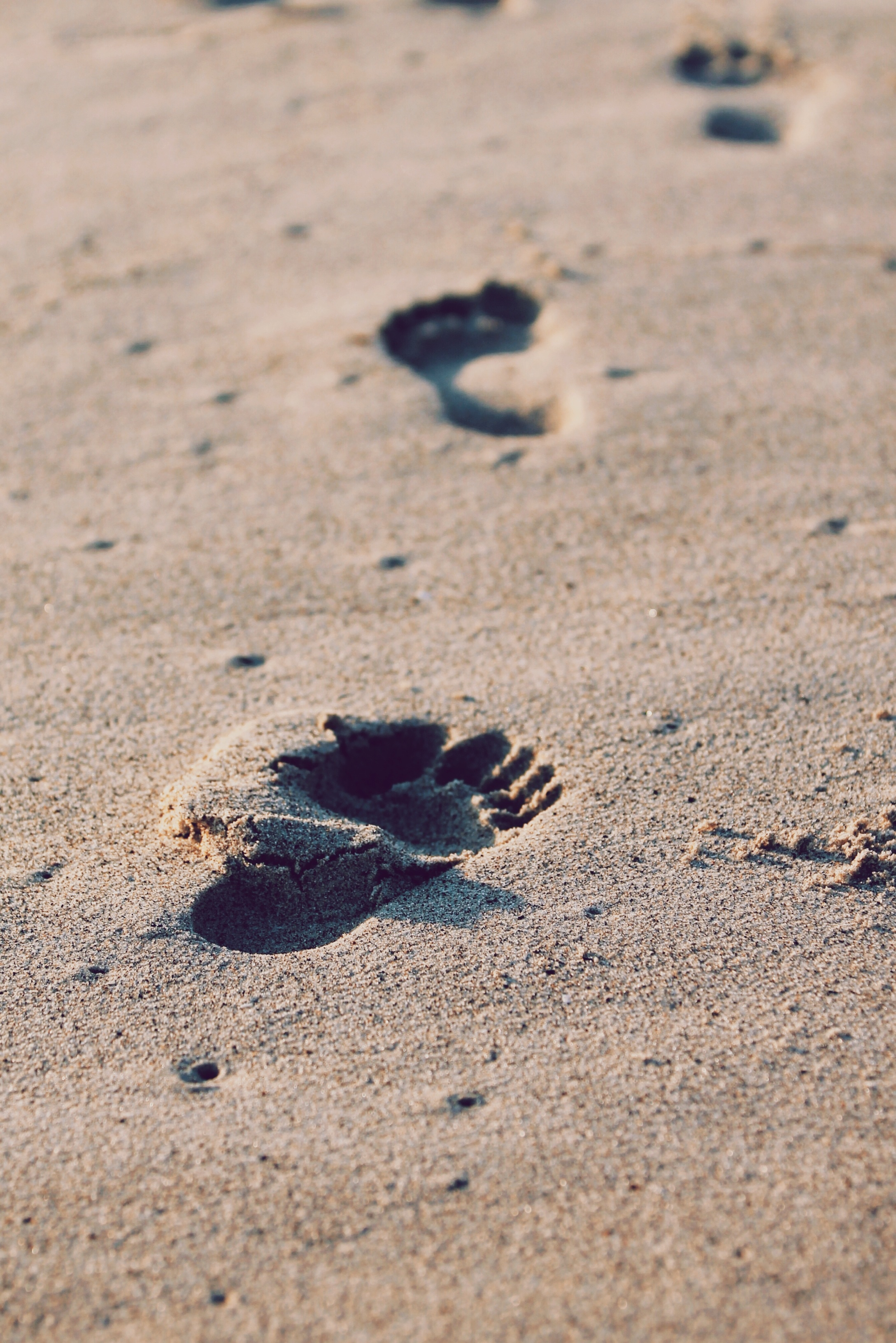 Detail Jejak Kaki Di Pantai Nomer 6