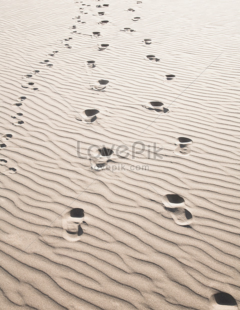 Detail Jejak Kaki Di Pantai Nomer 52