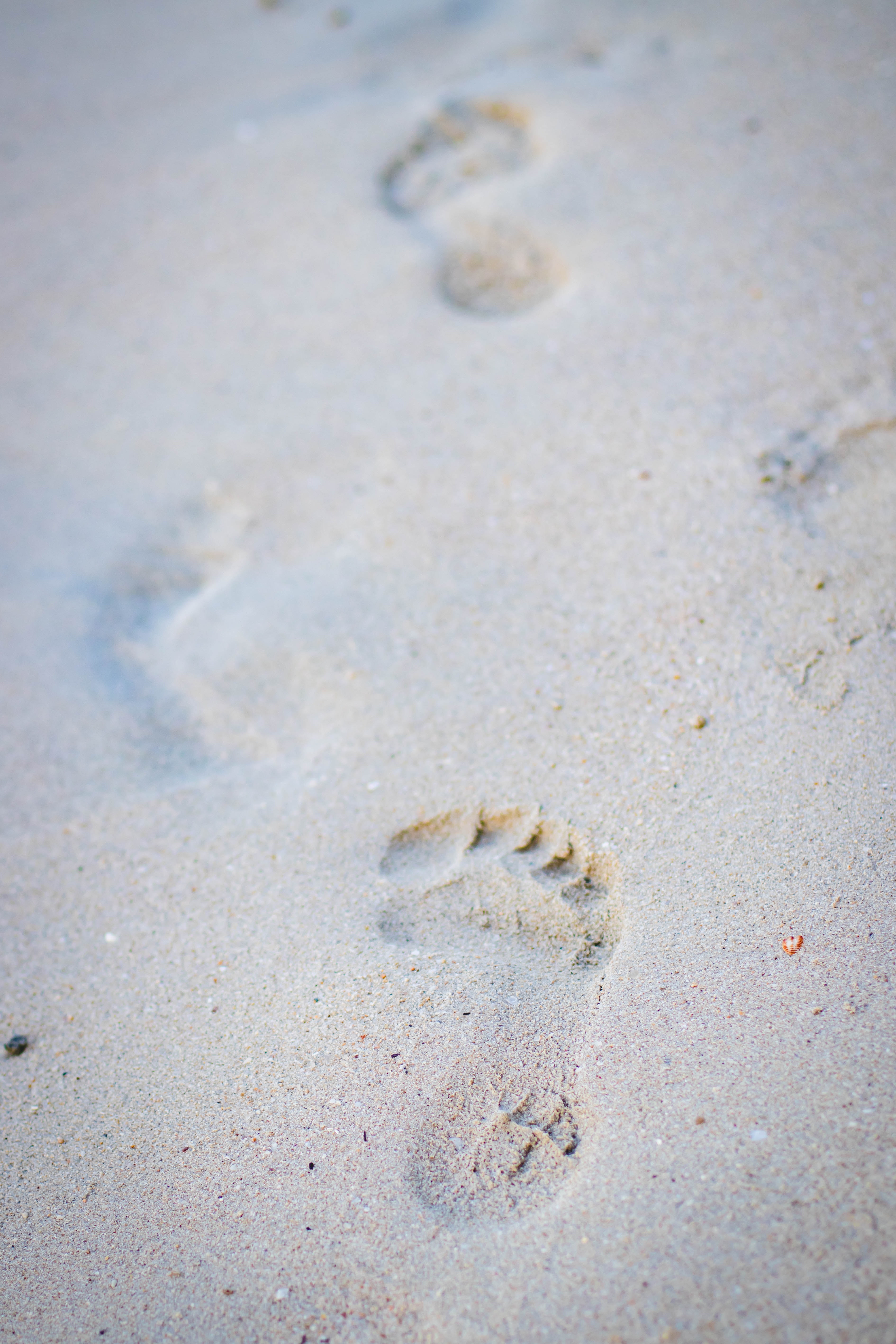 Detail Jejak Kaki Di Pasir Nomer 5