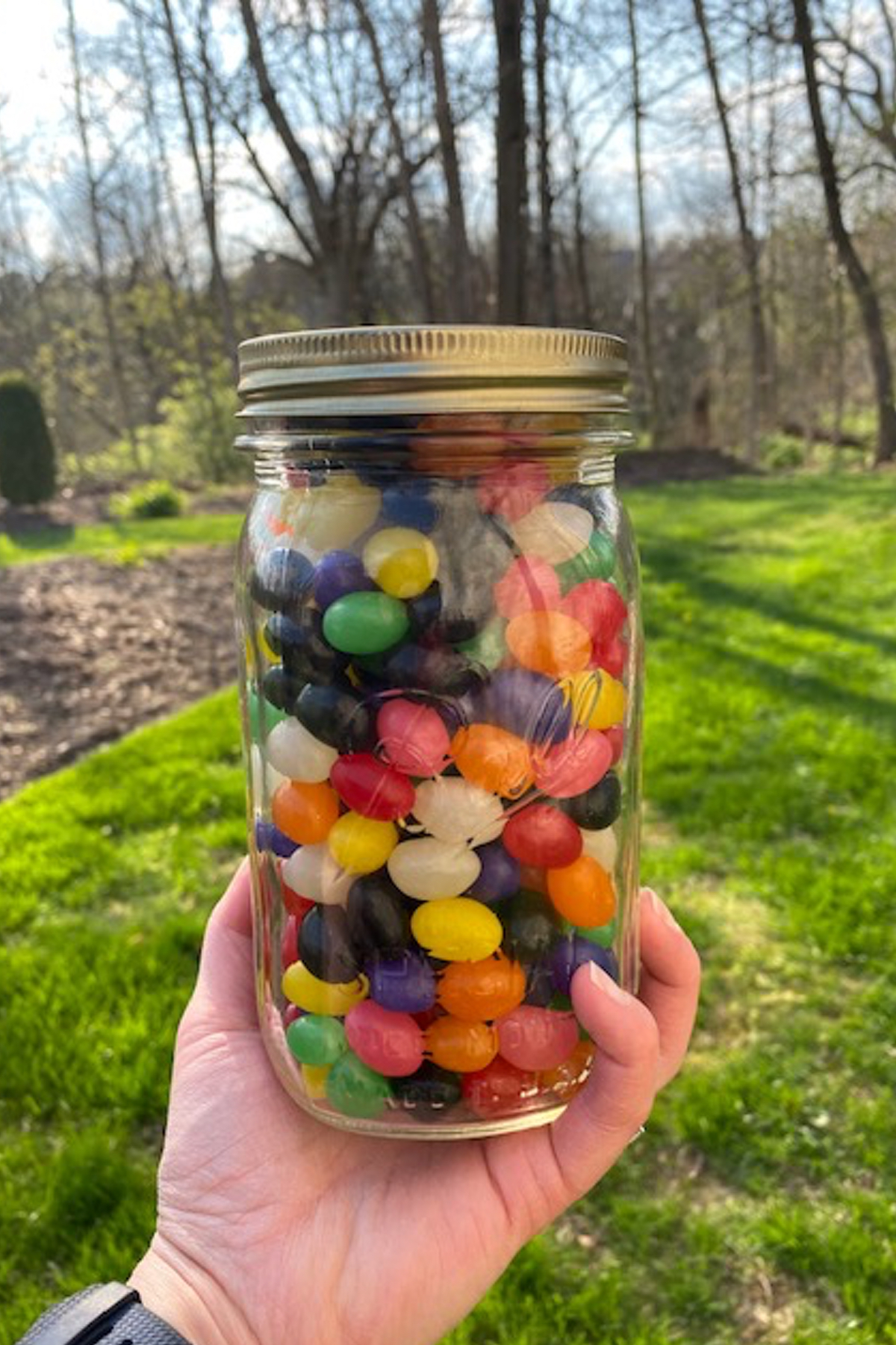 Detail Jelly Bean Jar Calculator Nomer 36