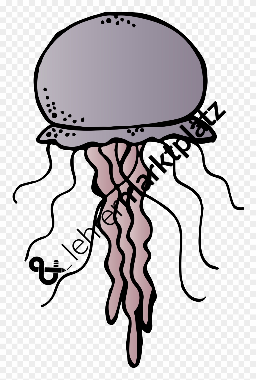 Detail Jelly Fish Clipart Nomer 47