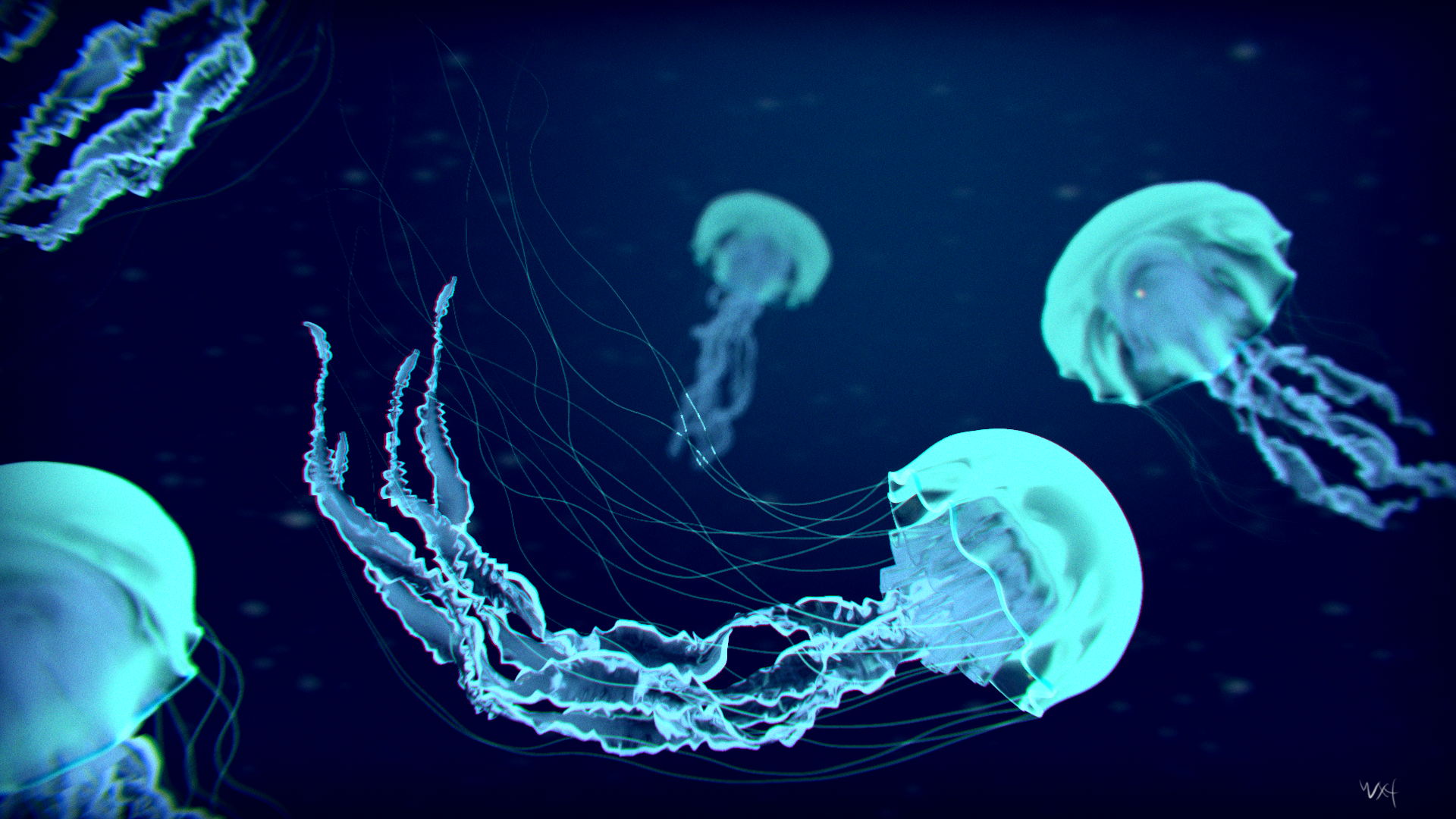 Detail Jellyfish Backgrounds Nomer 13