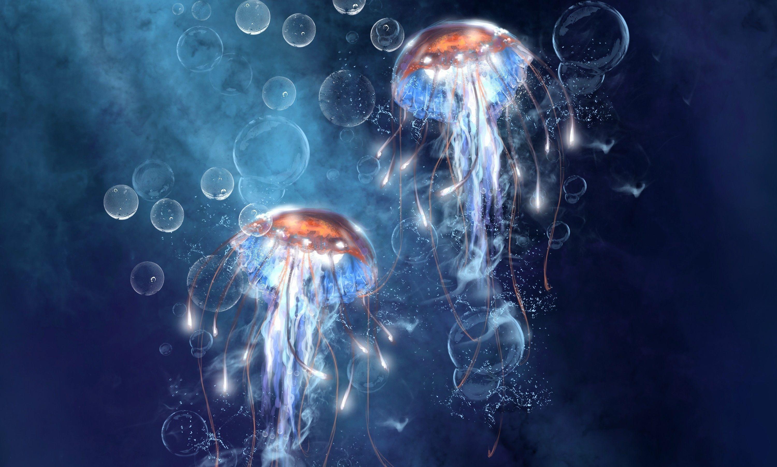 Detail Jellyfish Backgrounds Nomer 20