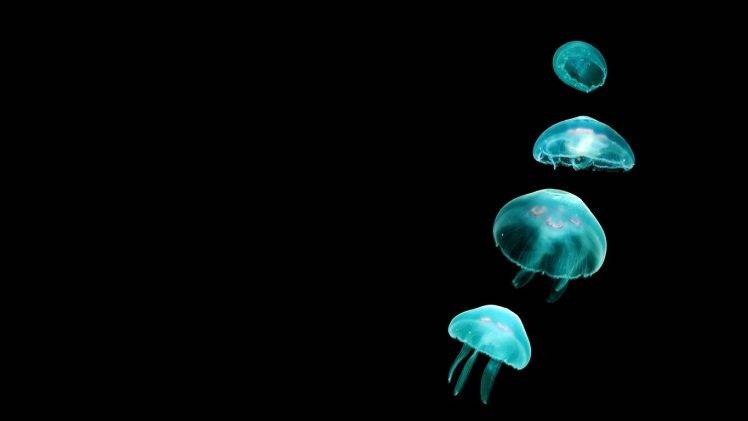 Detail Jellyfish Backgrounds Nomer 27