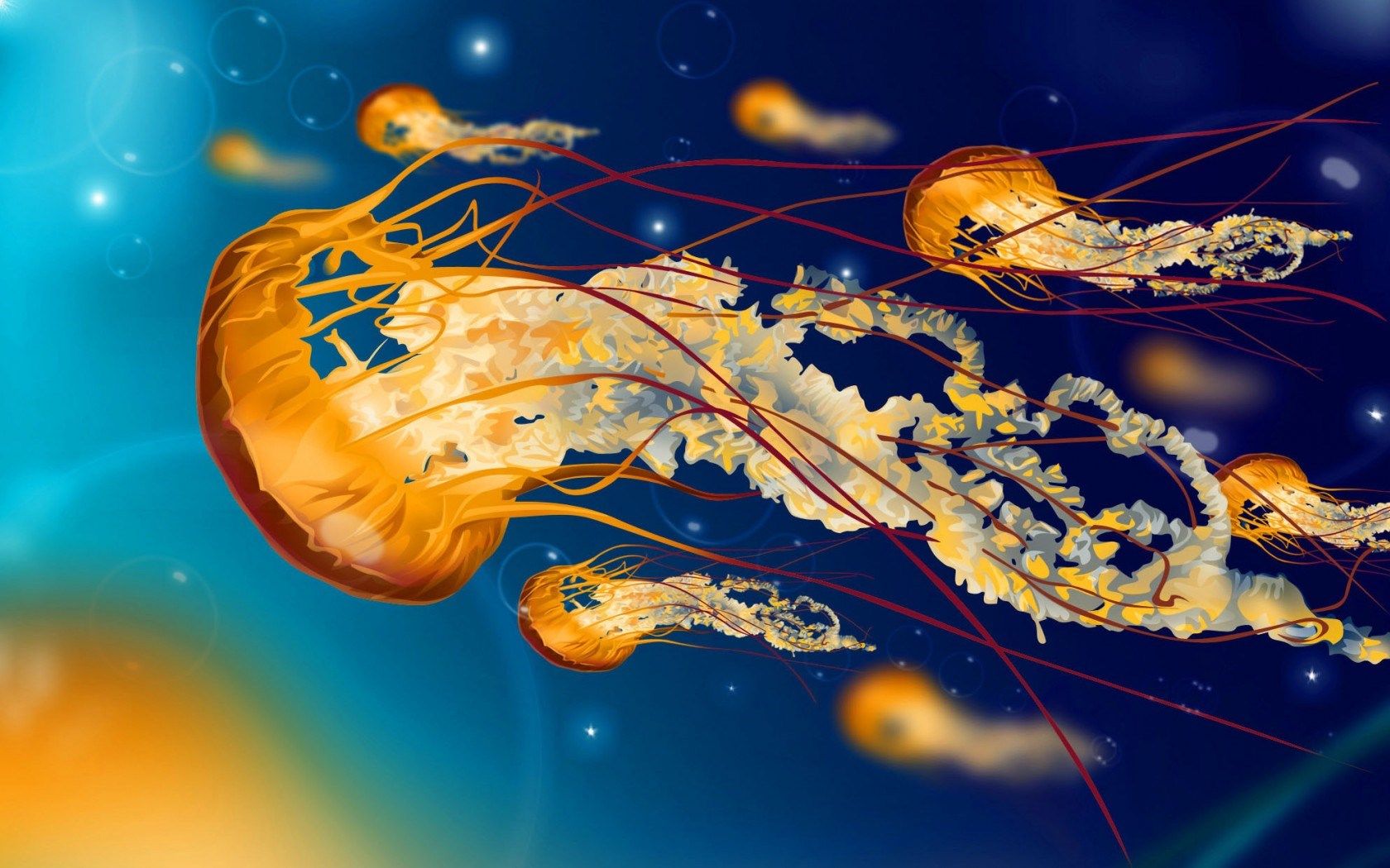 Detail Jellyfish Backgrounds Nomer 34