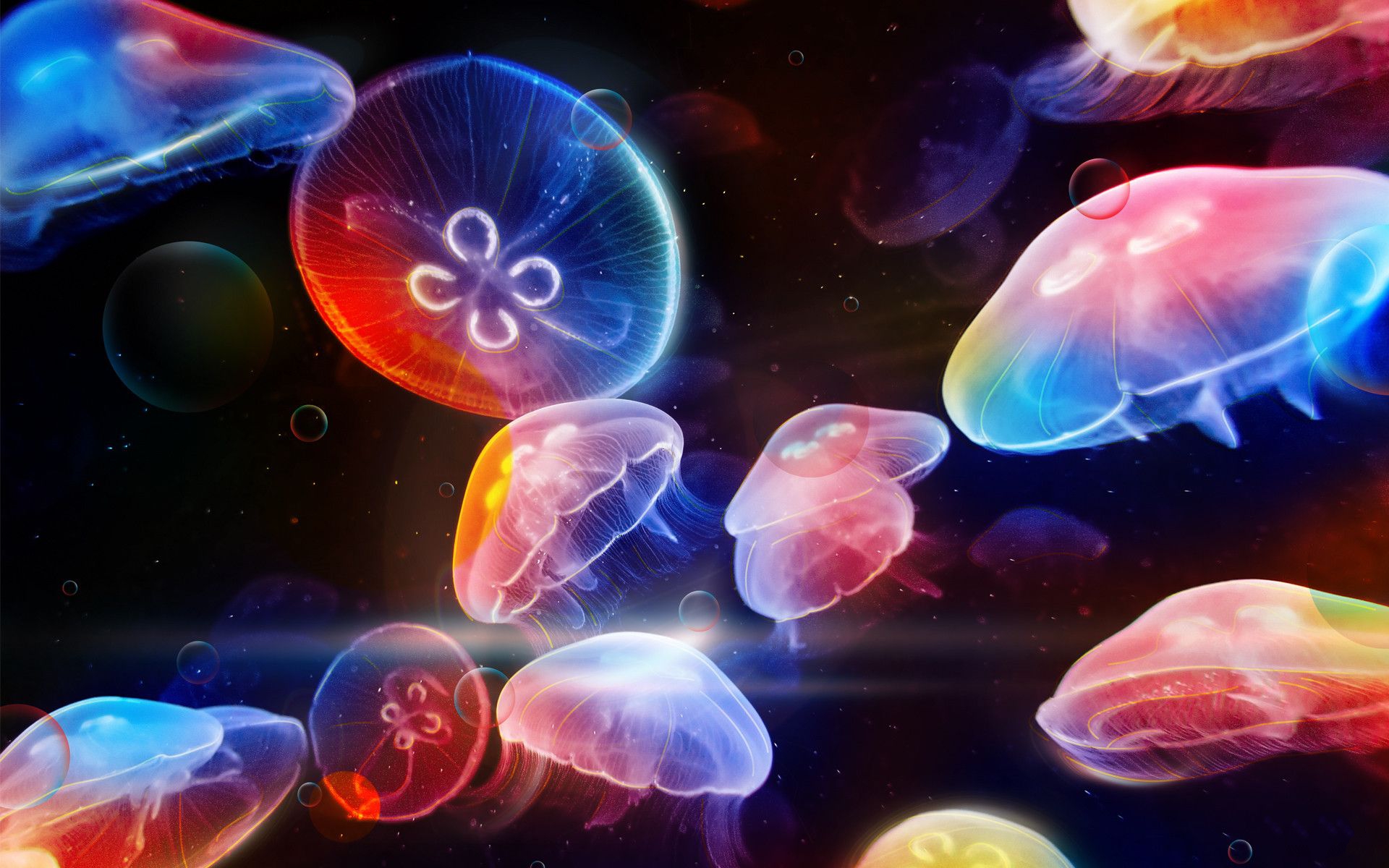 Detail Jellyfish Backgrounds Nomer 35