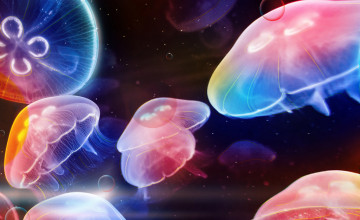 Detail Jellyfish Backgrounds Nomer 40