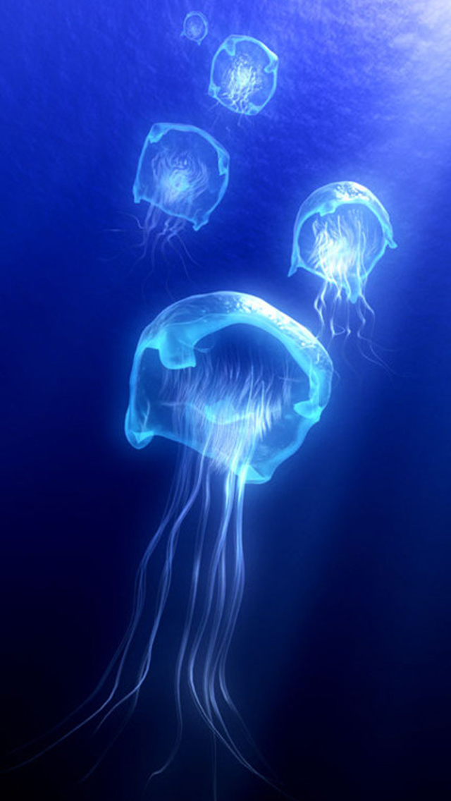 Detail Jellyfish Backgrounds Nomer 51