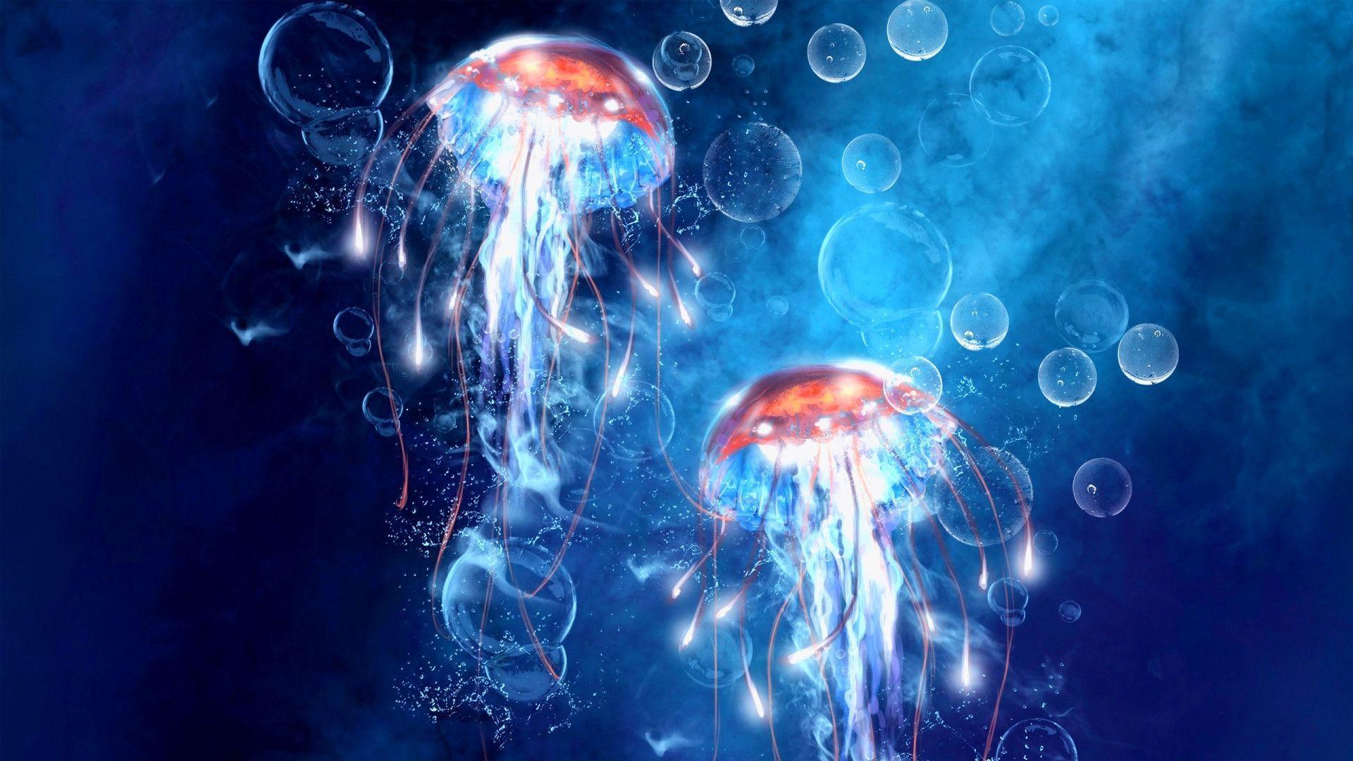 Detail Jellyfish Backgrounds Nomer 7