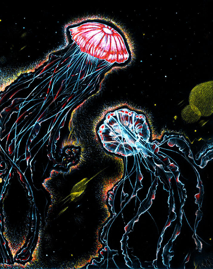 Detail Jellyfish Chalk Art Nomer 22