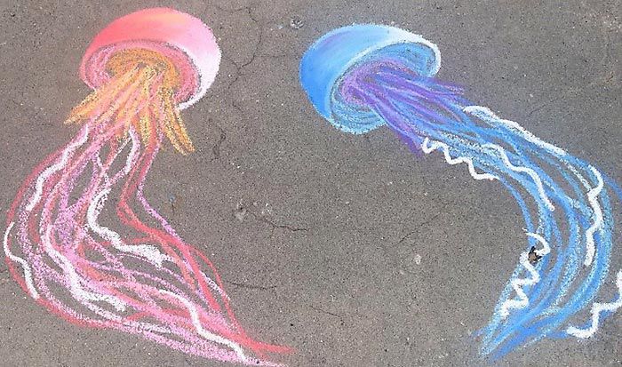 Detail Jellyfish Chalk Art Nomer 31