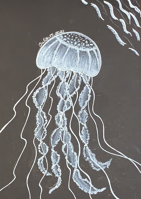 Detail Jellyfish Chalk Art Nomer 48