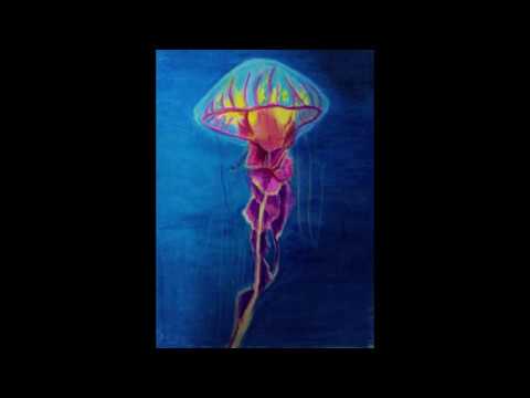 Detail Jellyfish Chalk Art Nomer 57