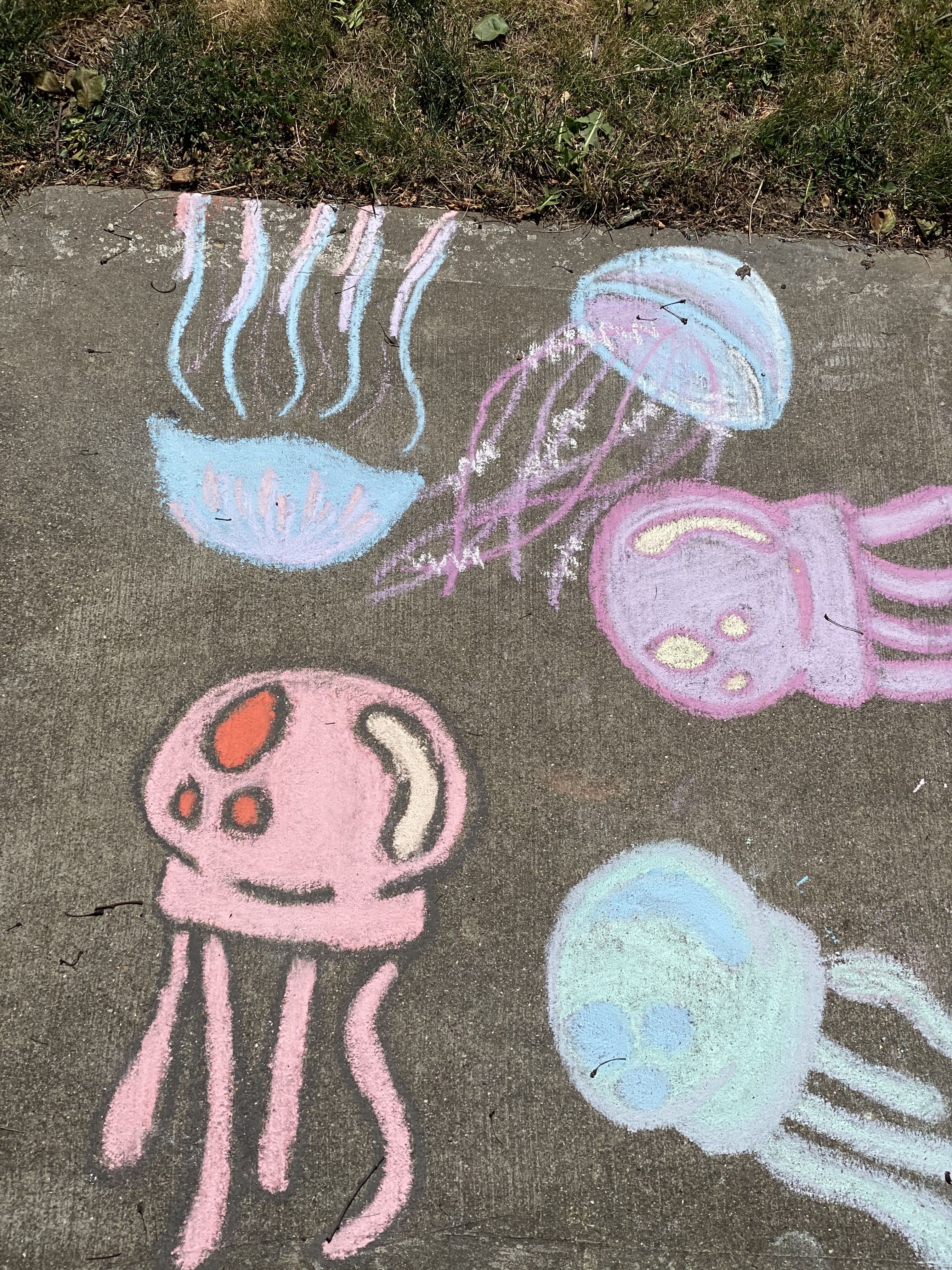 Detail Jellyfish Chalk Art Nomer 10