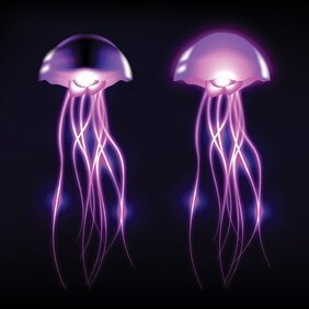 Detail Jellyfish Clip Art Free Nomer 51