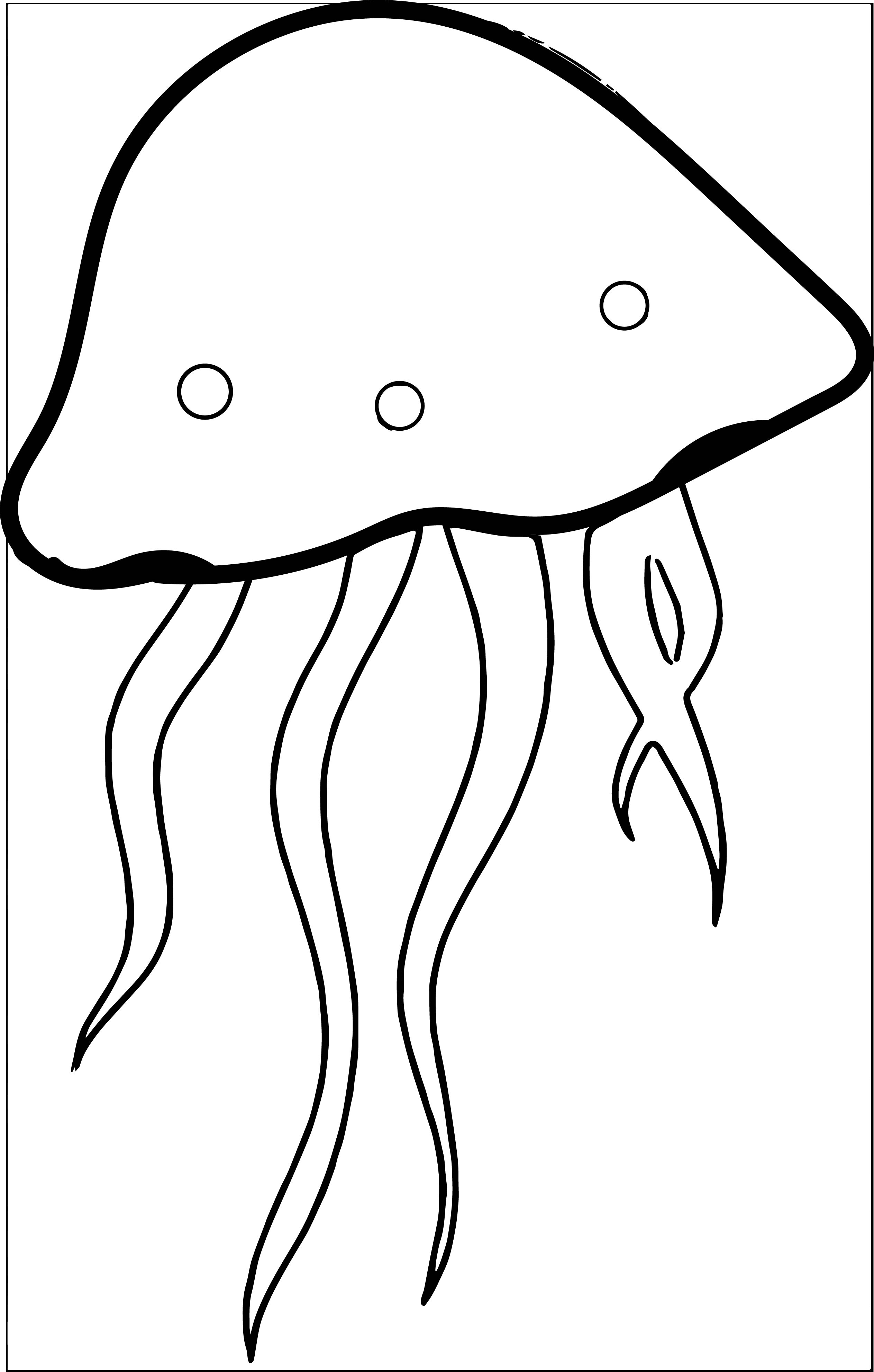 Detail Jellyfish Clipart Black And White Nomer 2