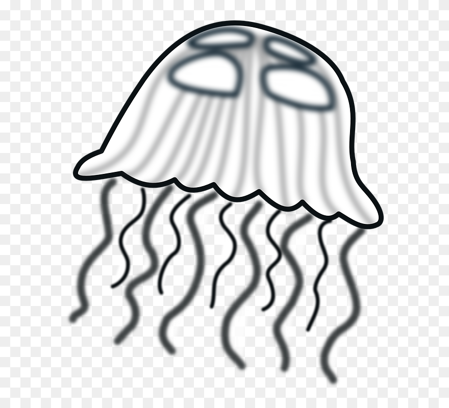 Detail Jellyfish Clipart Black And White Nomer 25