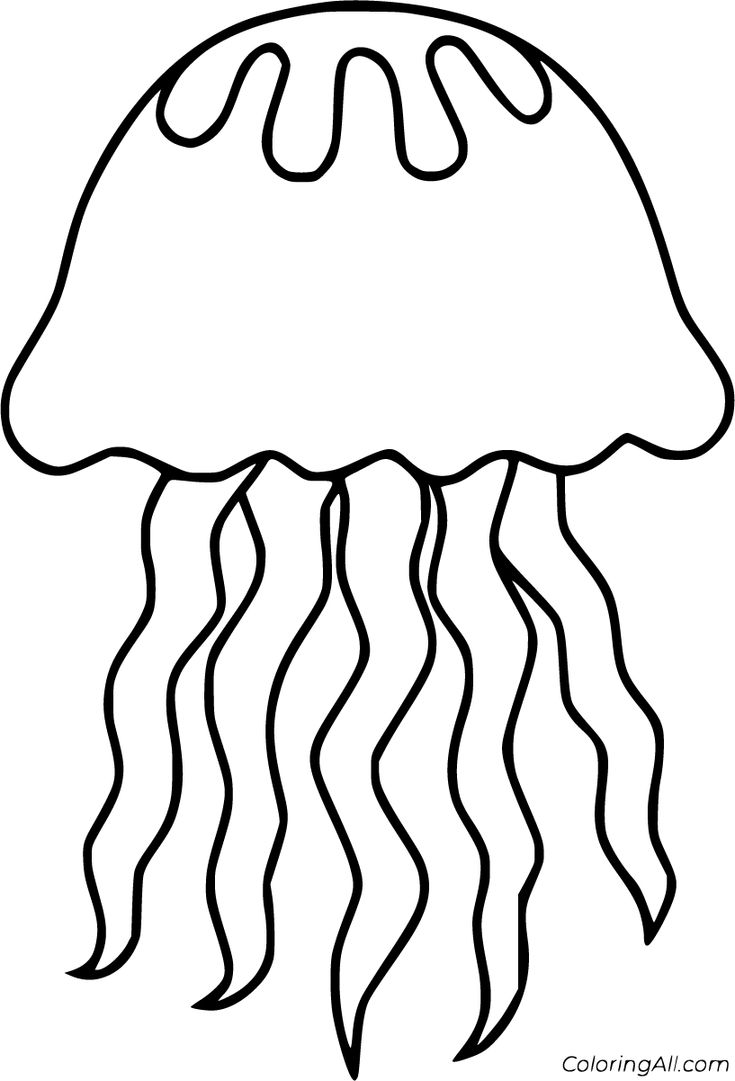 Detail Jellyfish Clipart Black And White Nomer 39