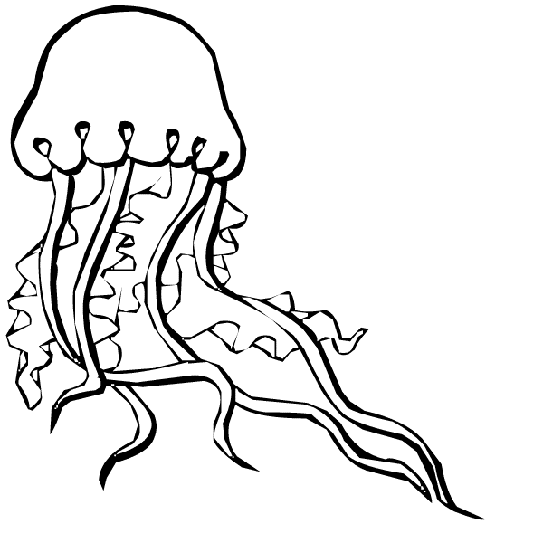 Detail Jellyfish Clipart Black And White Nomer 40