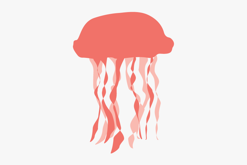 Detail Jellyfish Clipart Transparent Nomer 30