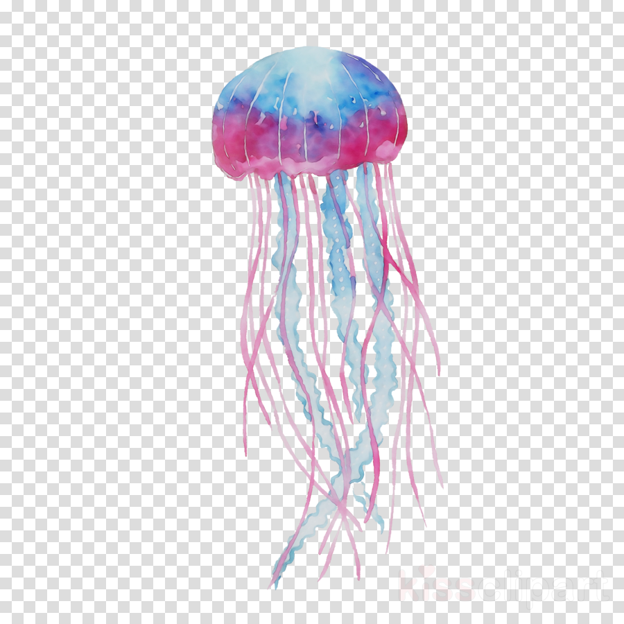 Detail Jellyfish Clipart Transparent Nomer 44