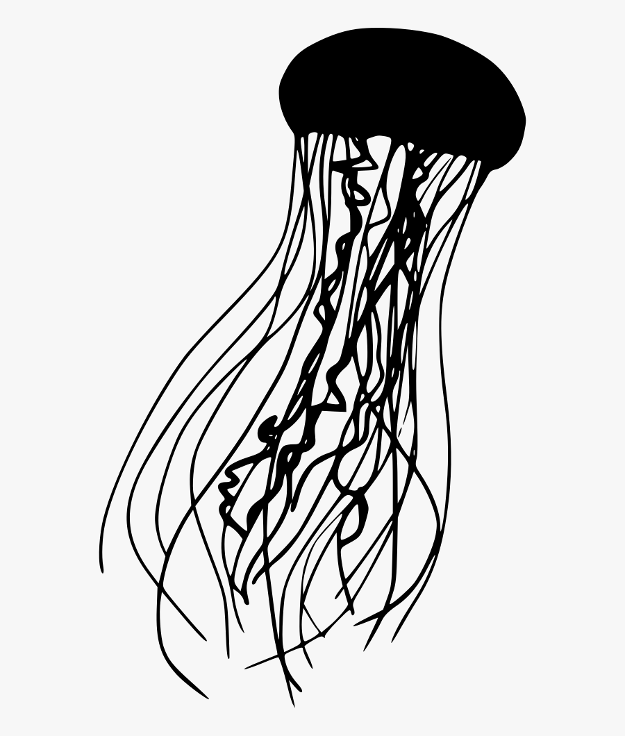 Detail Jellyfish Clipart Transparent Nomer 47
