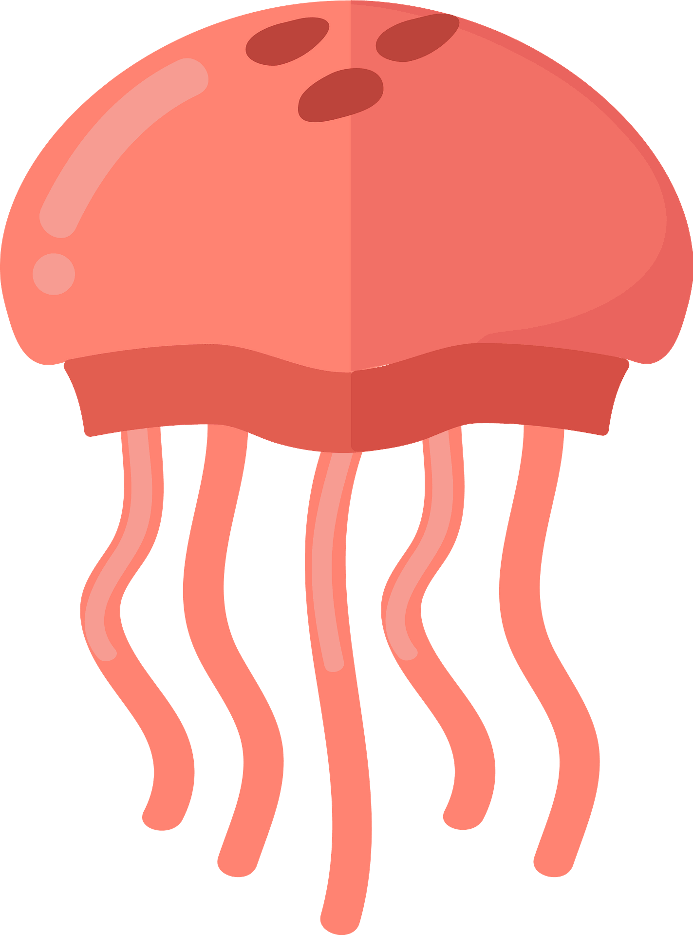 Detail Jellyfish Clipart Transparent Nomer 50