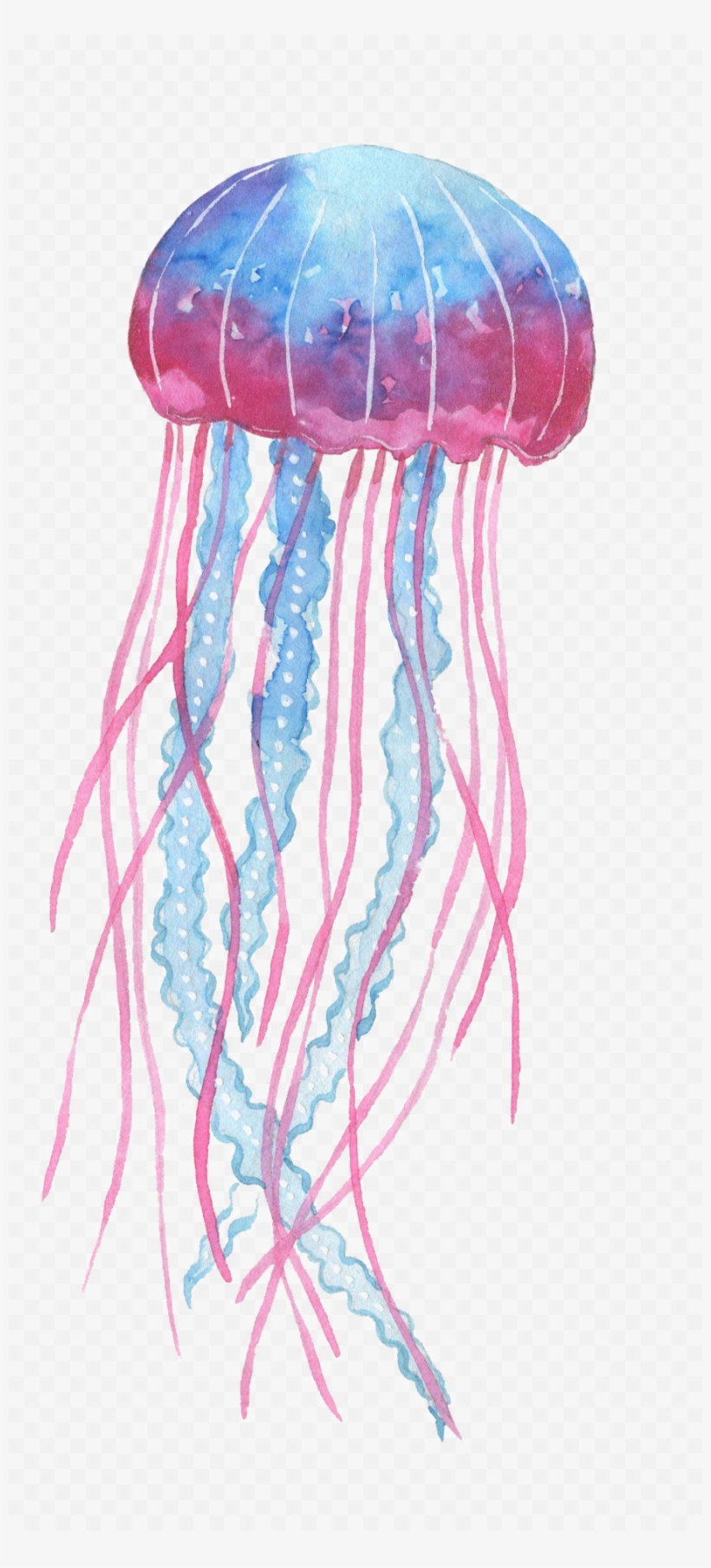 Detail Jellyfish No Background Nomer 7
