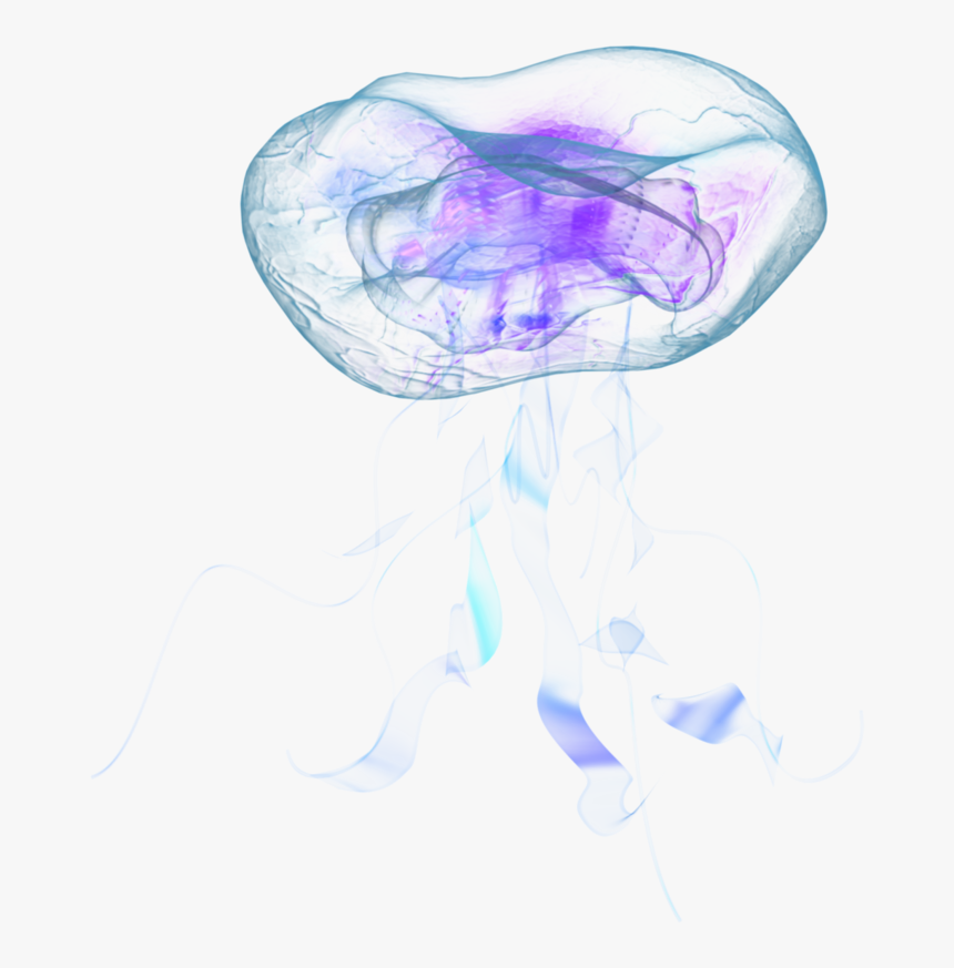 Detail Jellyfish No Background Nomer 9