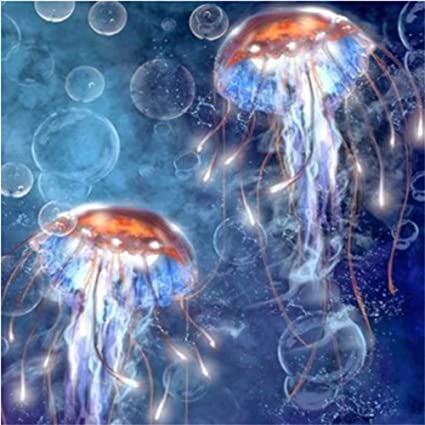 Jellyfish Paint By Numbers - KibrisPDR