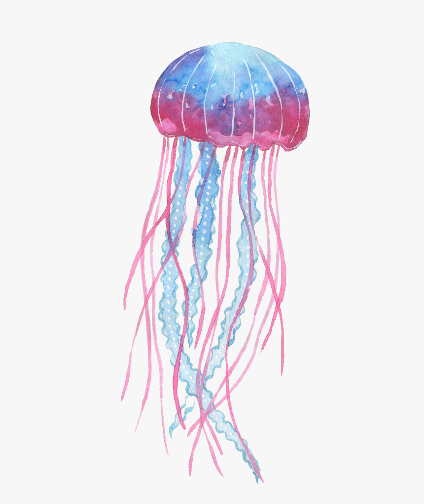 Jellyfish Png - KibrisPDR