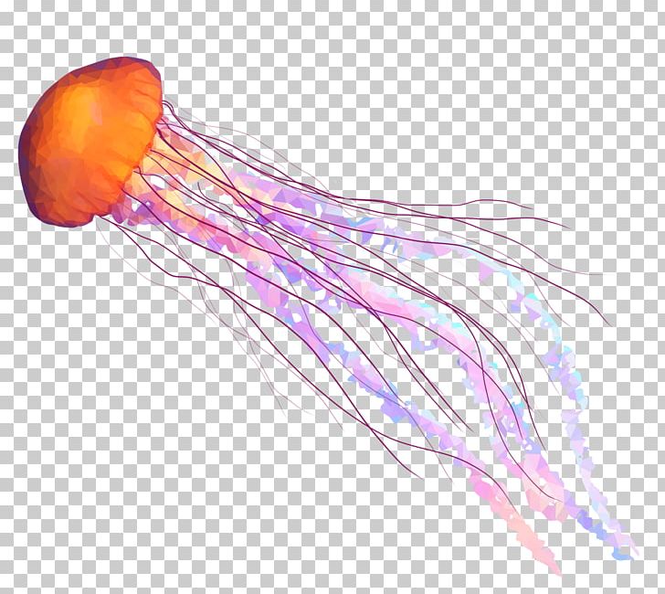 Detail Jellyfish Png Nomer 11