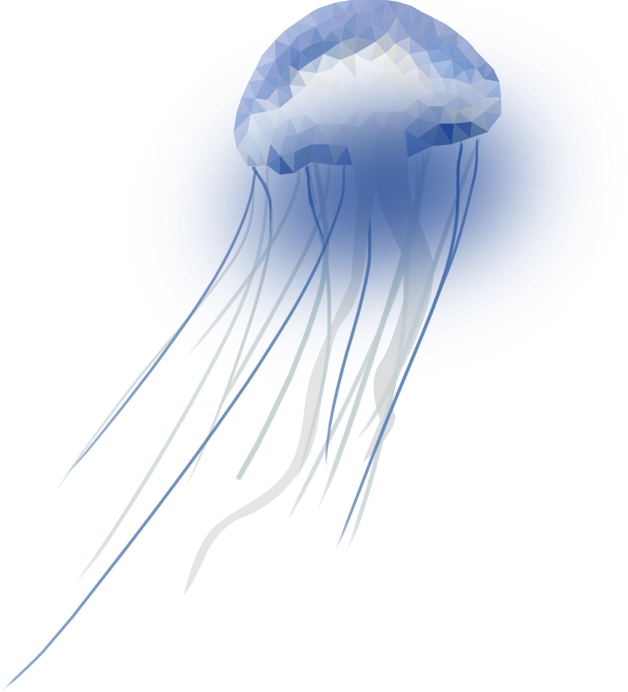 Detail Jellyfish Png Nomer 3