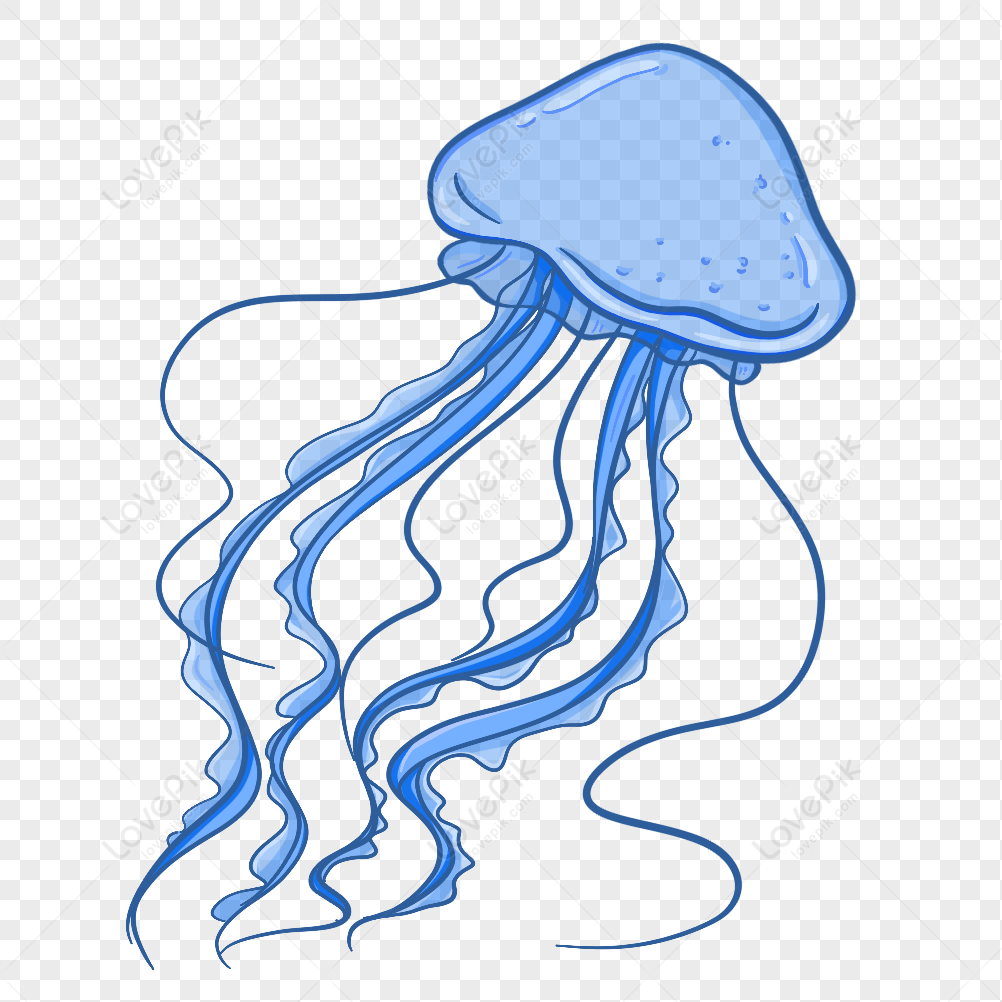 Detail Jellyfish Png Nomer 4