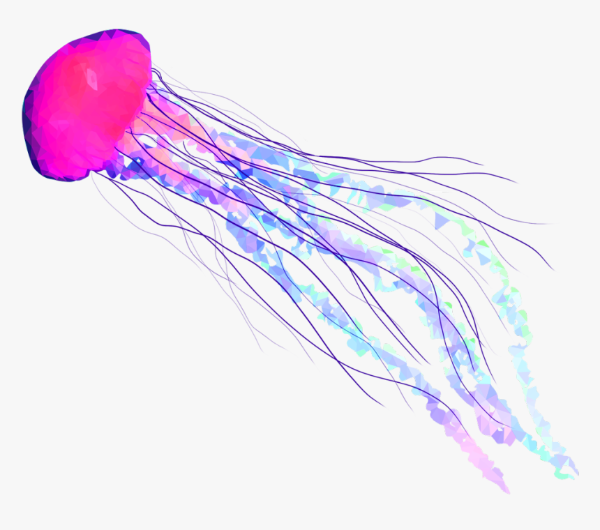 Detail Jellyfish Png Nomer 30