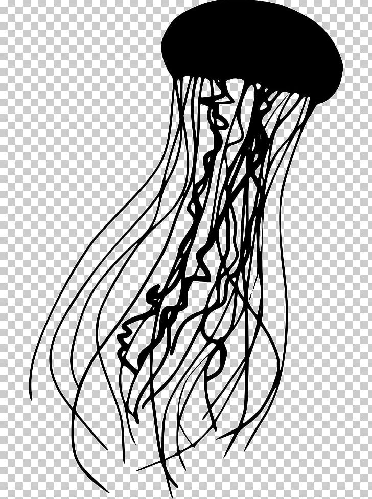 Detail Jellyfish Png Nomer 45