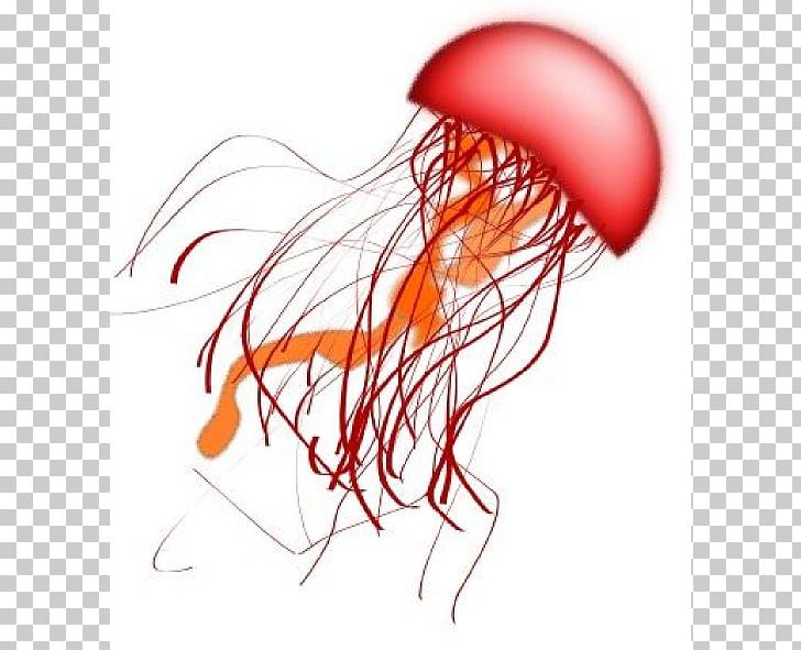 Detail Jellyfish Png Nomer 49