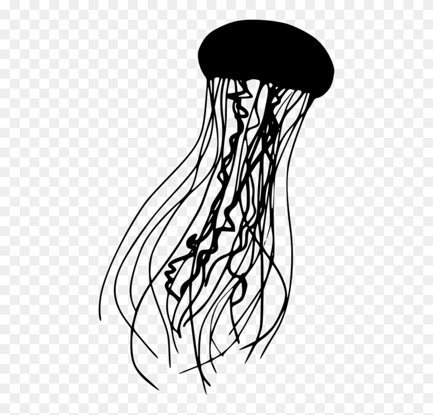 Detail Jellyfish Png Nomer 50