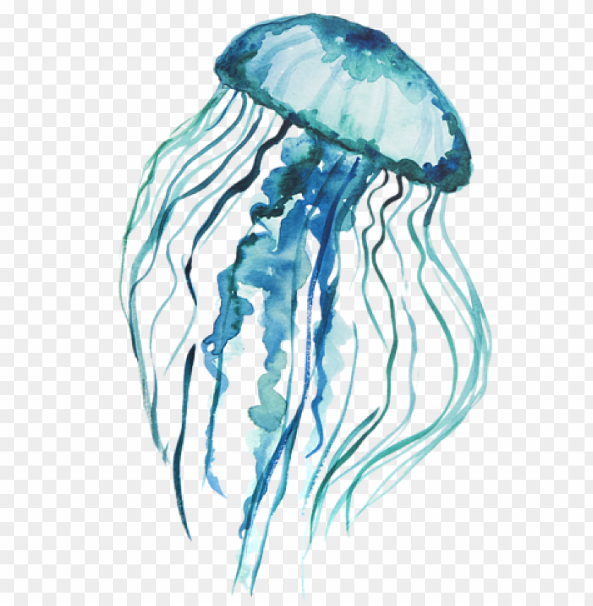 Detail Jellyfish Png Nomer 10