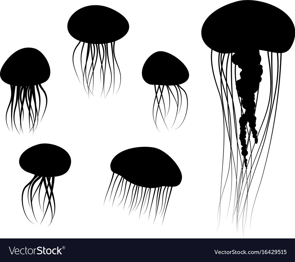 Detail Jellyfish Silhouette Vector Nomer 15