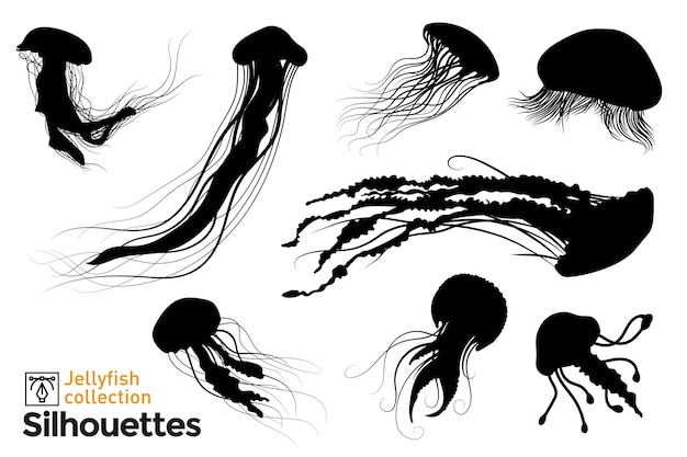 Detail Jellyfish Silhouette Vector Nomer 19