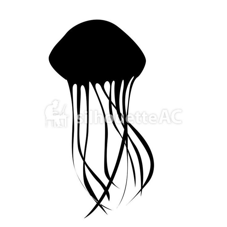 Detail Jellyfish Silhouette Vector Nomer 20