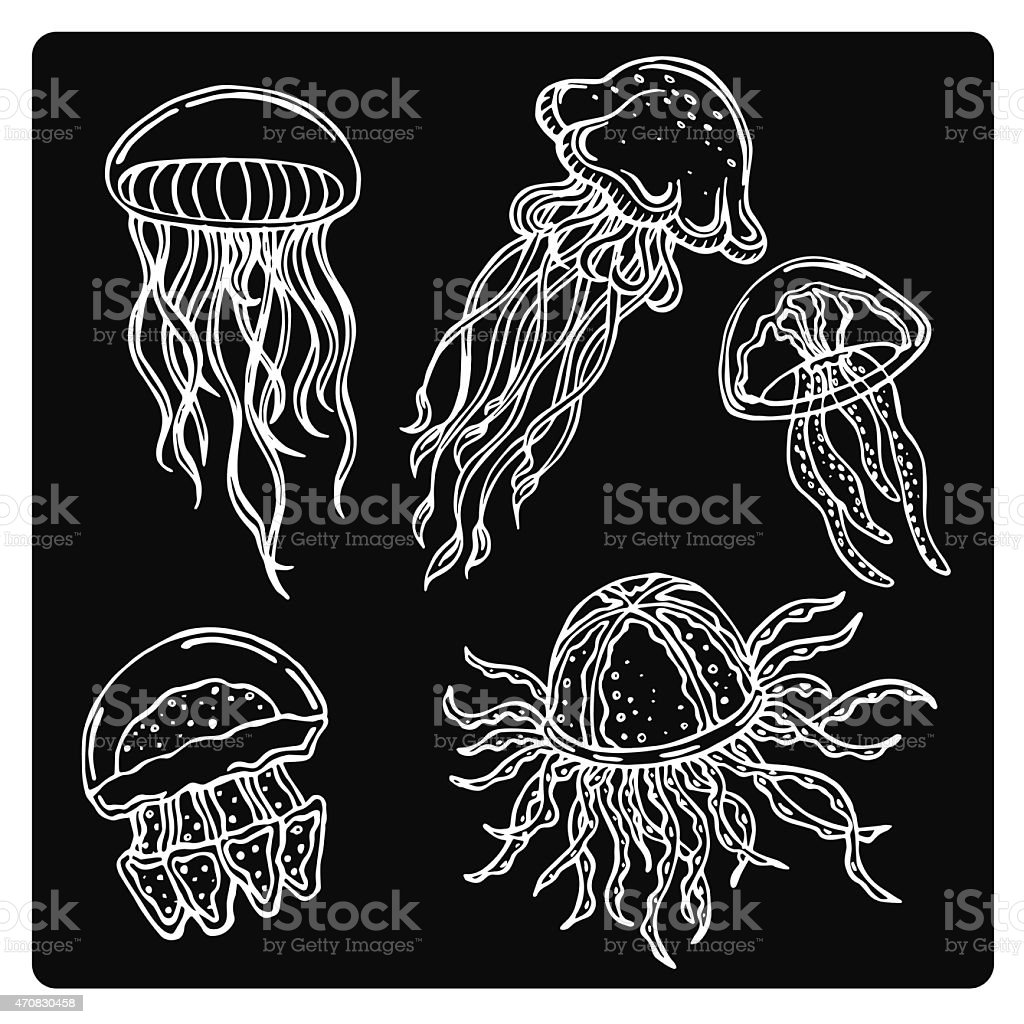 Detail Jellyfish Silhouette Vector Nomer 21
