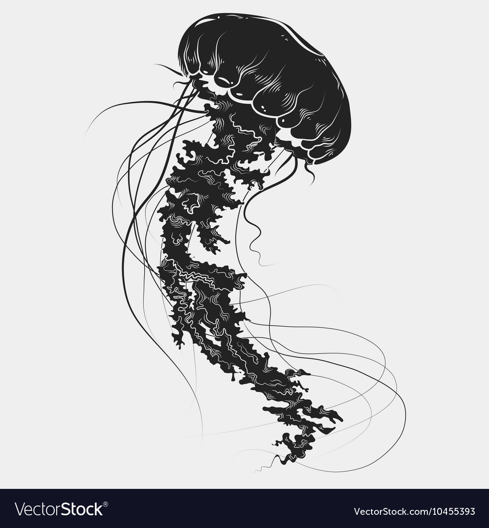 Detail Jellyfish Silhouette Vector Nomer 24