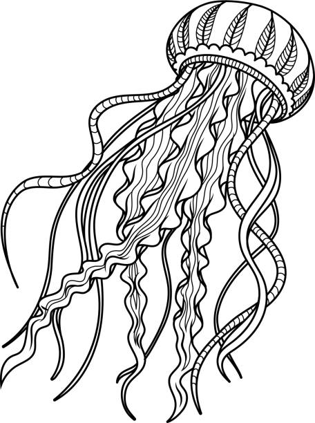 Detail Jellyfish Silhouette Vector Nomer 31